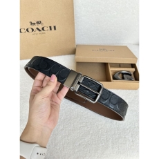 Coach Belts